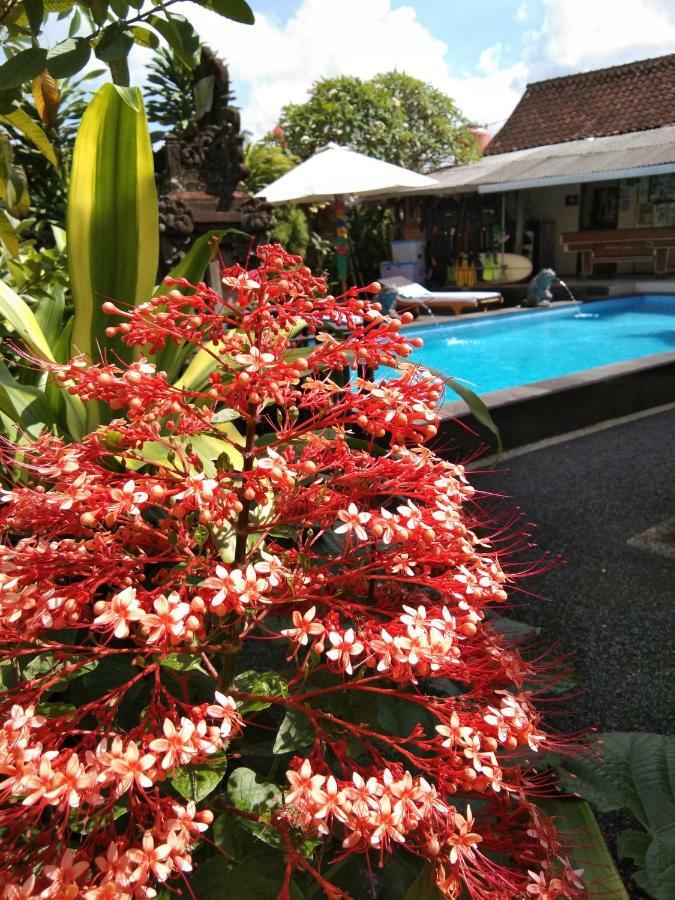 Sunwukong Guest House أوبود المظهر الخارجي الصورة